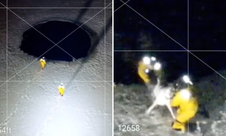 Ватрогасци из Масачусетса спасили пса из залеђеног језера