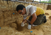 „Милионске“ фосилне лобање из Кине су далеко старије – а не Денисовци