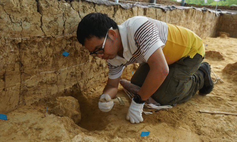 „Милионске“ фосилне лобање из Кине су далеко старије – а не Денисовци „Милионске“ фосилне лобање из Кине су далеко старије – а не Денисовци